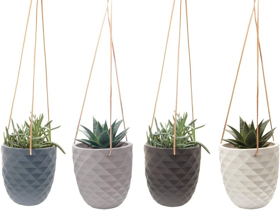 - Thimble, Large 5 Inch Hanging Pot Succulent and Cactus Planter, Plant Pot for Indoor House Plants (White)