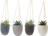 - Thimble, Large 5 Inch Hanging Pot Succulent and Cactus Planter, Plant Pot for Indoor House Plants (White)