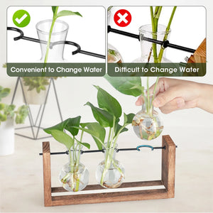 Light up Desktop Plant Terrarium with Wooden Stand, Wall Mount Plant Propagation Station, Glass Air Planters for Indoor Plants 3 Bulb Detachable Vases for Hydroponics, Home & Office Decor