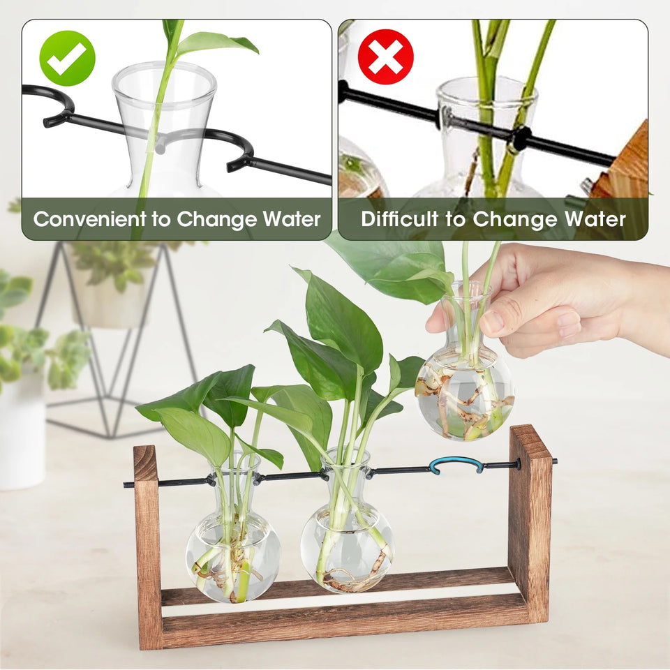 Light up Desktop Plant Terrarium with Wooden Stand, Wall Mount Plant Propagation Station, Glass Air Planters for Indoor Plants 3 Bulb Detachable Vases for Hydroponics, Home & Office Decor
