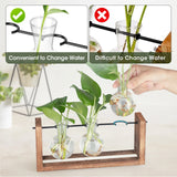 Light up Desktop Plant Terrarium with Wooden Stand, Wall Mount Plant Propagation Station, Glass Air Planters for Indoor Plants 3 Bulb Detachable Vases for Hydroponics, Home & Office Decor
