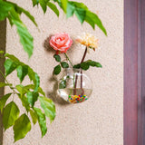 Wall Hanging Glass Planters 2Pcs Spherical Shape Plant Pots Terrarium Container Vase with 2.12 OZ Colorful Stones Indoor Outdoor for Home Garden Office Wedding