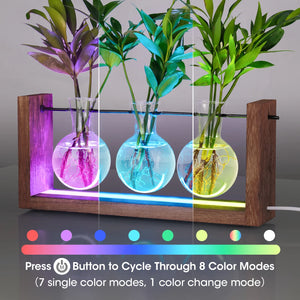Light up Desktop Plant Terrarium with Wooden Stand, Wall Mount Plant Propagation Station, Glass Air Planters for Indoor Plants 3 Bulb Detachable Vases for Hydroponics, Home & Office Decor
