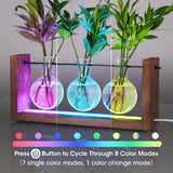 Light up Desktop Plant Terrarium with Wooden Stand, Wall Mount Plant Propagation Station, Glass Air Planters for Indoor Plants 3 Bulb Detachable Vases for Hydroponics, Home & Office Decor