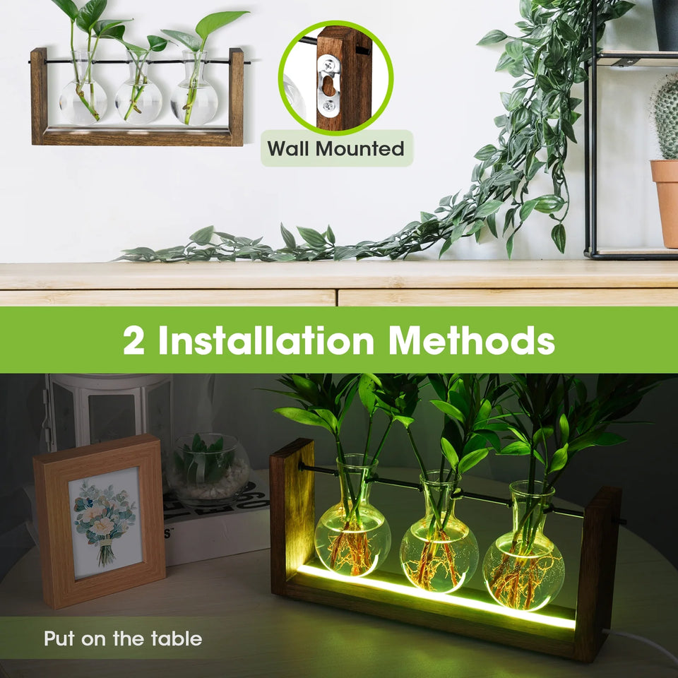 Light up Desktop Plant Terrarium with Wooden Stand, Wall Mount Plant Propagation Station, Glass Air Planters for Indoor Plants 3 Bulb Detachable Vases for Hydroponics, Home & Office Decor