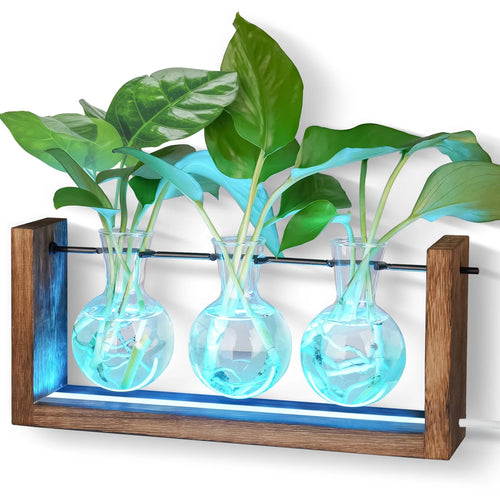 Light up Desktop Plant Terrarium with Wooden Stand, Wall Mount Plant Propagation Station, Glass Air Planters for Indoor Plants 3 Bulb Detachable Vases for Hydroponics, Home & Office Decor