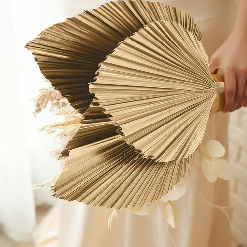 3 Pieces Dried Palm Leaves Natural Dried Palm Fans Dried Flowers for Boho Wedding Decor, Home Decor, Kitchen Decor, Leaf Decor or Tropical Leaves Decor