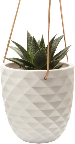- Thimble, Large 5 Inch Hanging Pot Succulent and Cactus Planter, Plant Pot for Indoor House Plants (White)