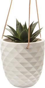 - Thimble, Large 5 Inch Hanging Pot Succulent and Cactus Planter, Plant Pot for Indoor House Plants (White)