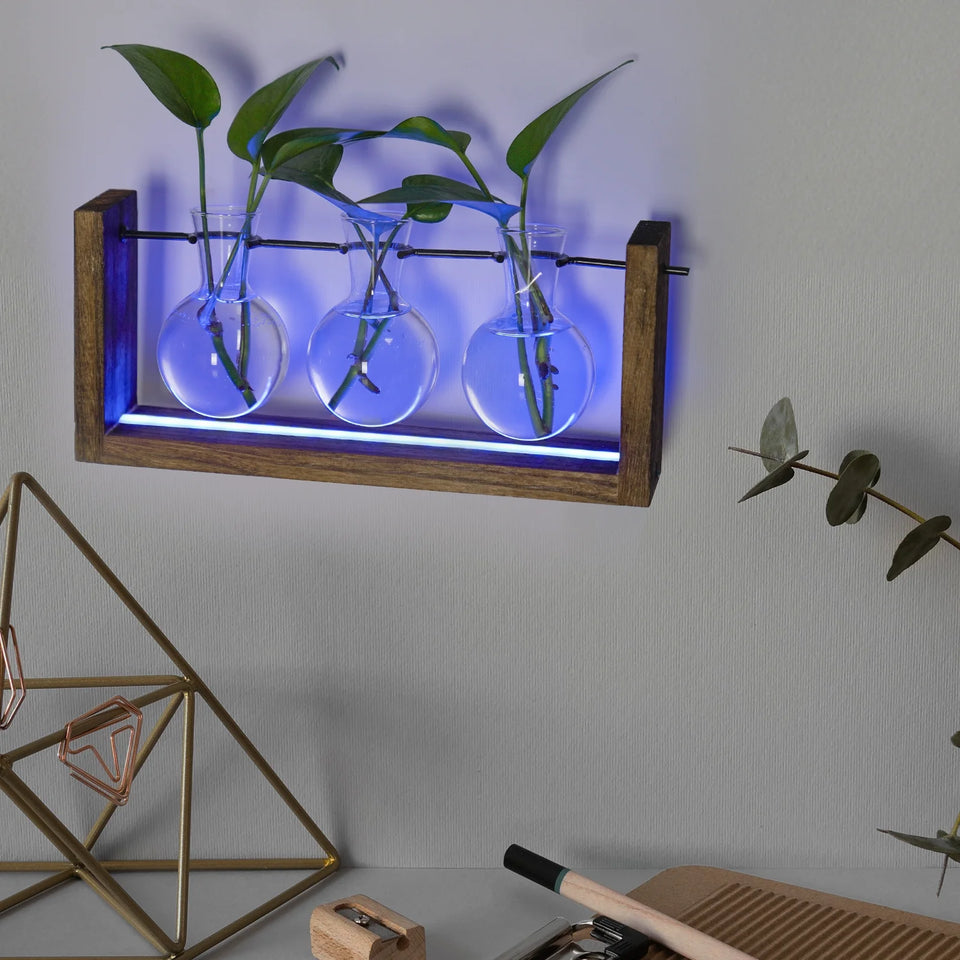 Light up Desktop Plant Terrarium with Wooden Stand, Wall Mount Plant Propagation Station, Glass Air Planters for Indoor Plants 3 Bulb Detachable Vases for Hydroponics, Home & Office Decor