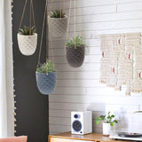 - Thimble, Large 5 Inch Hanging Pot Succulent and Cactus Planter, Plant Pot for Indoor House Plants (White)