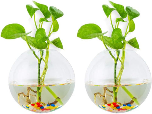 Wall Hanging Glass Planters 2Pcs Spherical Shape Plant Pots Terrarium Container Vase with 2.12 OZ Colorful Stones Indoor Outdoor for Home Garden Office Wedding