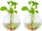 Wall Hanging Glass Planters 2Pcs Spherical Shape Plant Pots Terrarium Container Vase with 2.12 OZ Colorful Stones Indoor Outdoor for Home Garden Office Wedding