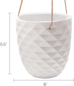 - Thimble, Large 5 Inch Hanging Pot Succulent and Cactus Planter, Plant Pot for Indoor House Plants (White)