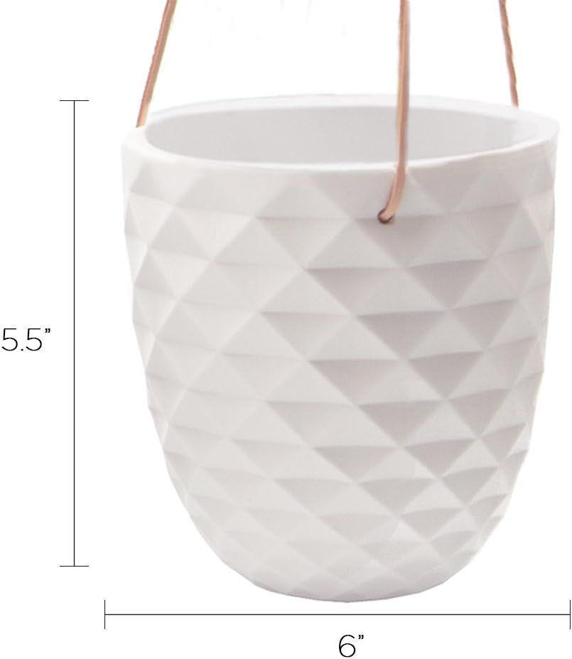 - Thimble, Large 5 Inch Hanging Pot Succulent and Cactus Planter, Plant Pot for Indoor House Plants (White)