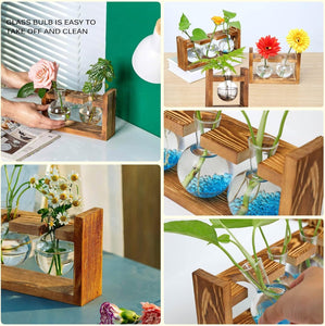 Glass Plant Terrarium - 3 Bulbs Propagation Station with Retro Wood Stand Indoor Garden Planter, Bulb Vase & Desktop Decor for Home Kitchen Wedding, Gift for Women & Plant Lover